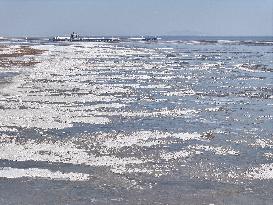 Sea Ice Landscape in Lianyungang