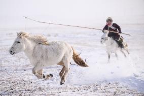 CHINA-INNER MONGOLIA-XILINGOL-HORSE(CN)