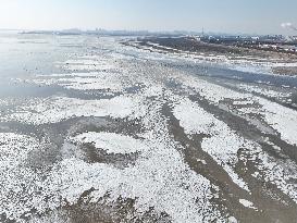 Sea Ice Landscape in Lianyungang