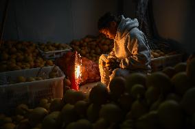Handicrafts Gourd in Qianxinan