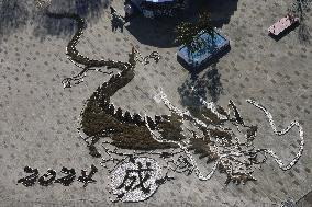 Huge image of dragon laid out in Ibaraki Pref. park