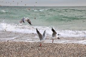 Odesa beaches