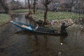 Srinagar It Freezes