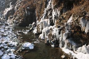 Srinagar It Freezes