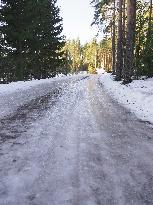Icy forest road