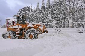 Snowstorm Hit Yantai