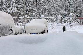 Snowstorm Hit Yantai