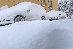 Snowstorm Hit Yantai