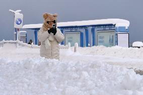 Snowstorm Hit Yantai