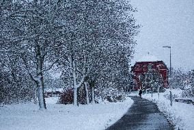 Snowfall In Linköping, Sweden