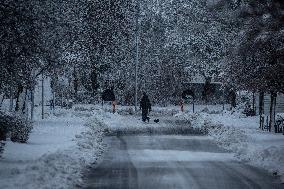 Snowfall In Linköping, Sweden