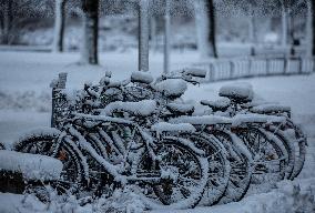 Snowfall In Linköping, Sweden