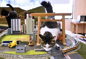 Cats at railroad diorama restaurant
