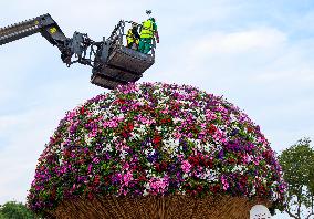 Guinness World Record For Largest Natural Flower Bouquet In Doha