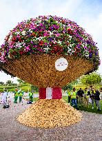 Guinness World Record For Largest Natural Flower Bouquet In Doha