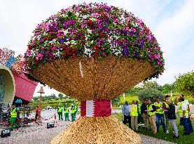 Guinness World Record For Largest Natural Flower Bouquet In Doha