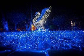 Botanical Garden Lights Up With Illuminated Animals For Christmas