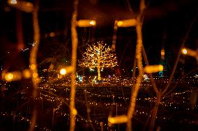 Botanical Garden Lights Up With Illuminated Animals For Christmas