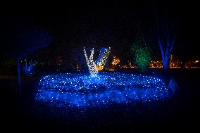 Botanical Garden Lights Up With Illuminated Animals For Christmas