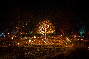 Botanical Garden Lights Up With Illuminated Animals For Christmas