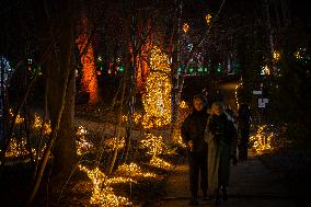 Botanical Garden Lights Up With Illuminated Animals For Christmas