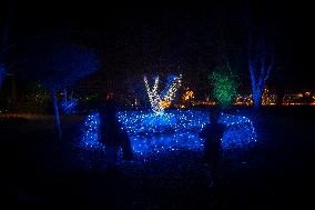 Botanical Garden Lights Up With Illuminated Animals For Christmas