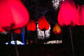 Botanical Garden Lights Up With Illuminated Animals For Christmas