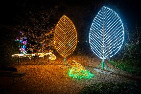 Botanical Garden Lights Up With Illuminated Animals For Christmas