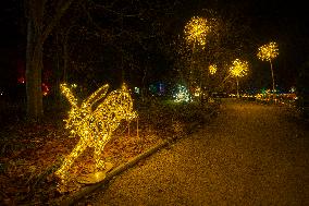 Botanical Garden Lights Up With Illuminated Animals For Christmas