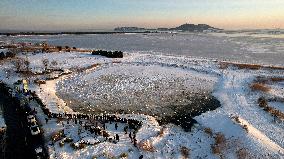 Whooper Swan National Nature Reserve in Rongcheng