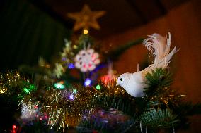 Christmas Tree In Knurow