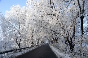 Rime Scenery in Shenyang