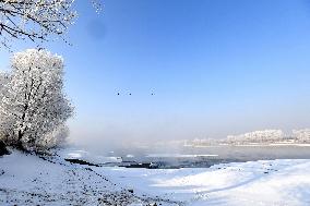 Rime Scenery in Shenyang