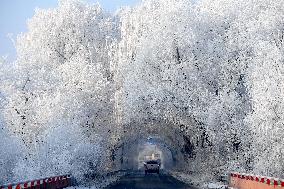 Rime Scenery in Shenyang