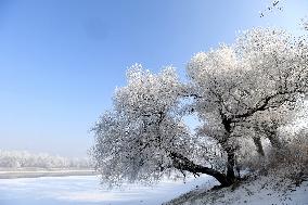 Rime Scenery in Shenyang