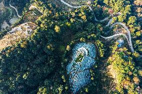 Trees Crown With Film in Congjiang