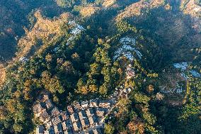 Trees Crown With Film in Congjiang