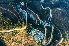 Trees Crown With Film in Congjiang