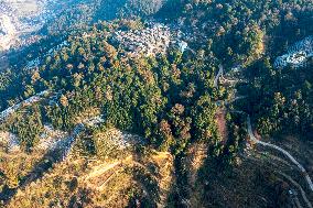 Trees Crown With Film in Congjiang