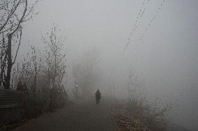 KASHMIR-SRINAGAR-DENSE FOG