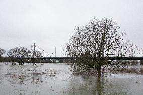 Flood Continues In Bonn