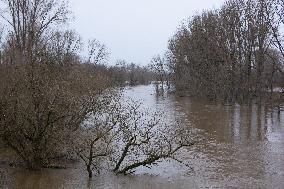 Flood Continues In Bonn