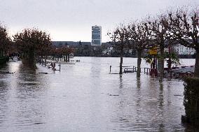 Flood Continues In Bonn