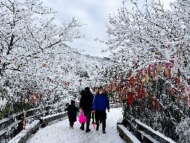 Snow Scenery in Chongqing