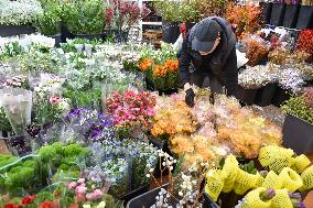 Flower Wholesale Market in Nanjing