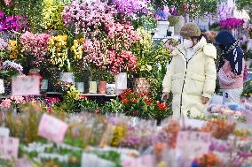 Flower Wholesale Market in Nanjing