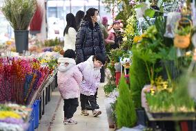 Flower Wholesale Market in Nanjing