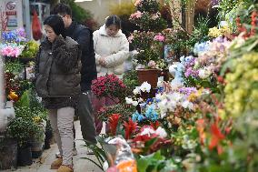 Flower Wholesale Market in Nanjing