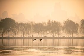 CHINA-ZHEJIANG-HANGZHOU-WEST LAKE-WINTER SCENERY (CN)