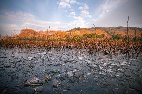 CHINA-ZHEJIANG-HANGZHOU-WEST LAKE-WINTER SCENERY (CN)